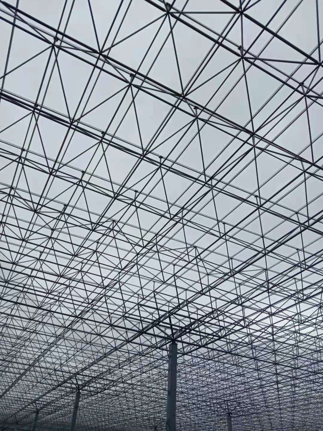 ��ī����վ����